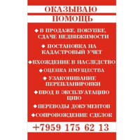 Елена Касинец