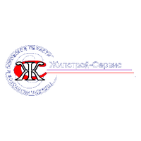 Виолетта Левыкина