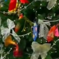 Сальмина Котенко