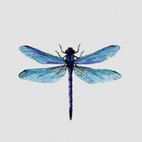 Людмила Нестерова