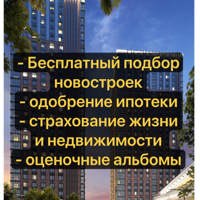 Владимир Шипков