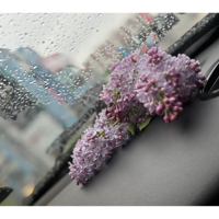 Амина Эминова