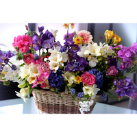 Екатерина Фоминых