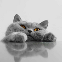 Инна Клевцова