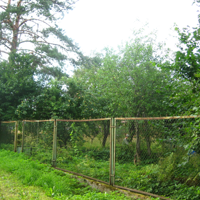 Людмила Петрова