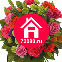 Алёна Проспект