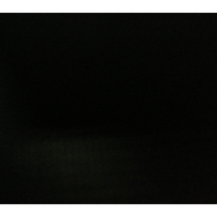 Нафиза Ганская