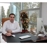 Давид Гелашвили