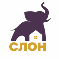 Елена Стрельцова