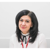 Елена Железцова