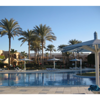 Наталья Коваленко