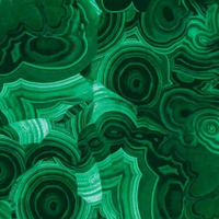 Елена Силенских