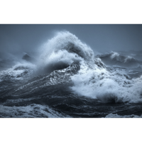 Алексей Воронов