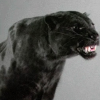 Андрей Астафьев