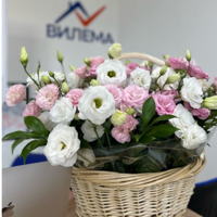 Агунда Елканова