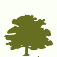 Ирина Яковенко