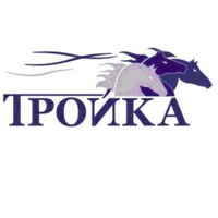 Ирина Береснева