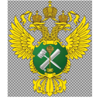 Яна Бородкина