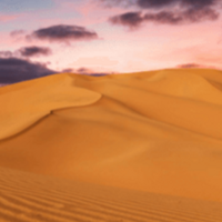 Елена Лескова