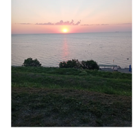 Андрей Сытков