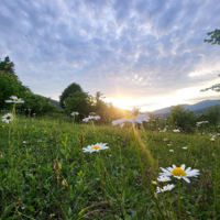 Светлана Чепцова