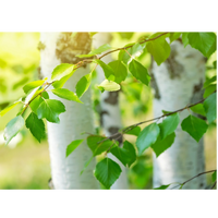 Анастасия Бондаренко