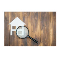 Екатерина Ковалева