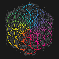 ООО "ПАНДОРА"