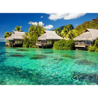 Агентство Светланы Провоторовой