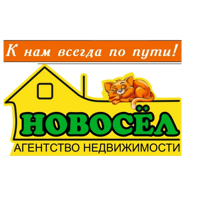 Агентство недвижимости "Новосёл"