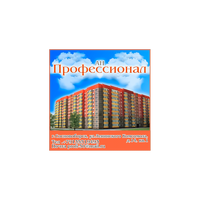 Профессионал (Сосновоборск)