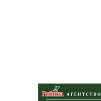 Агентство недвижимости "Рябина"