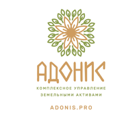 ООО Адонис