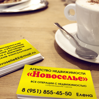 АН Новоселье