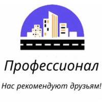 Профессионал