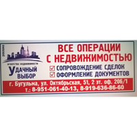 АН Удачный выбор
