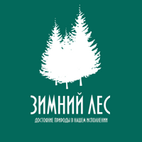 Зимний Лес