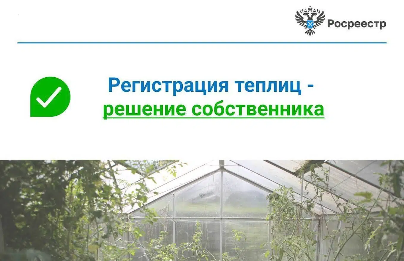 Теплица — тренд сезона: с чего начать, советы эксперта и личный опыт №1