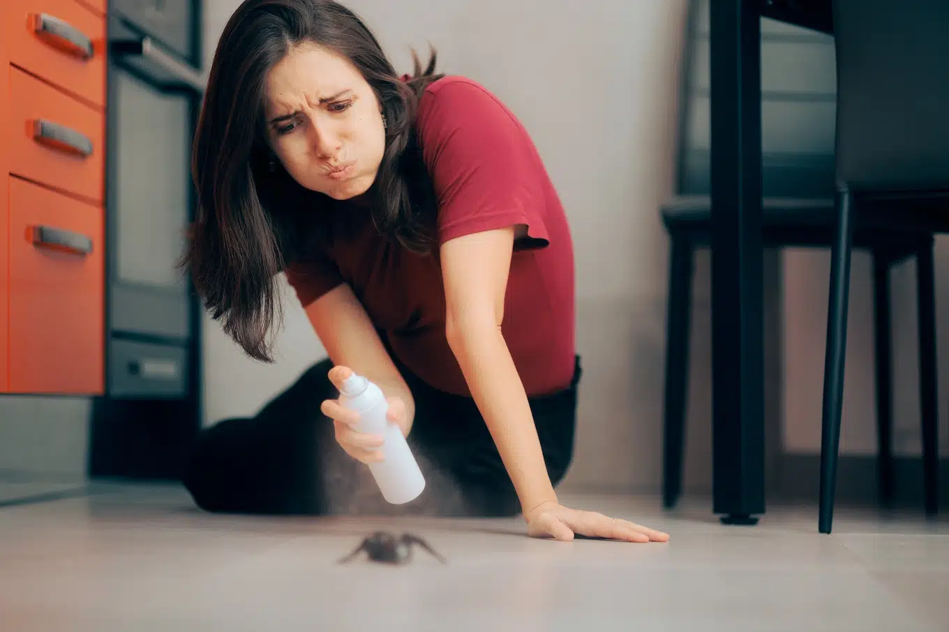 Как избавиться от насекомых в квартире №5