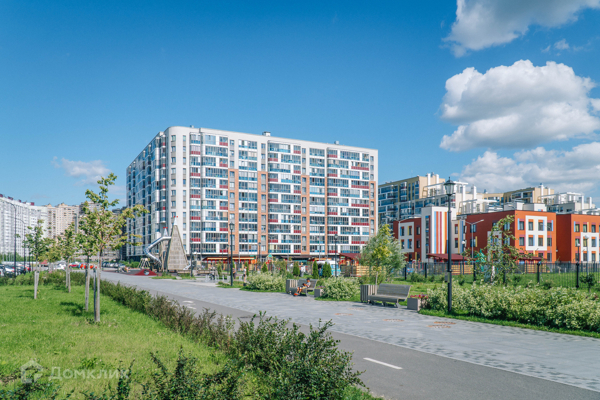 Фото Энфилд