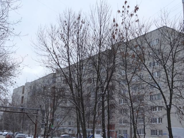 фото дома