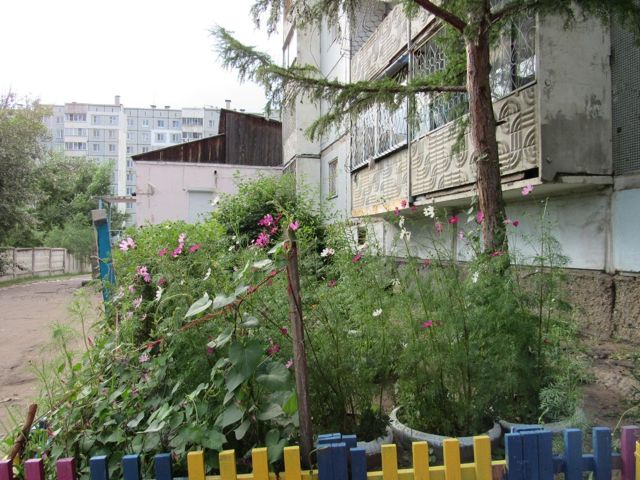 Панорама дома