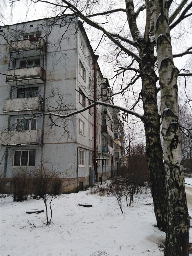 Панорама дома