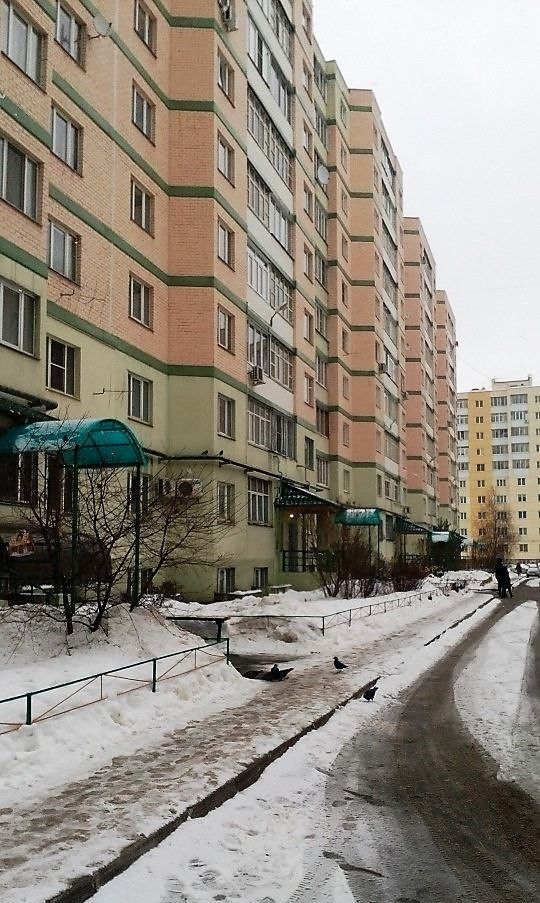 Панорама дома
