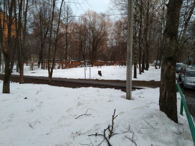 Territory