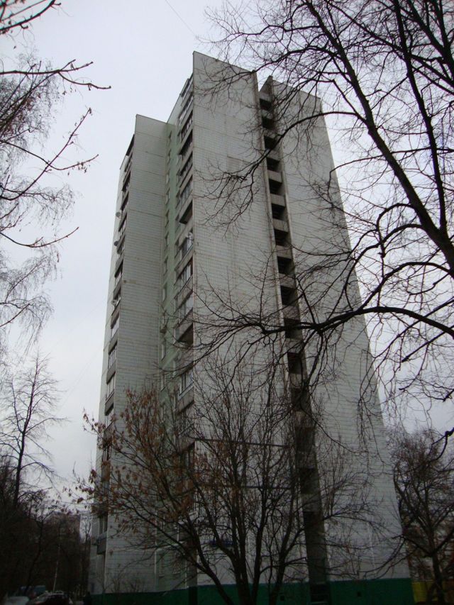 Панорама дома