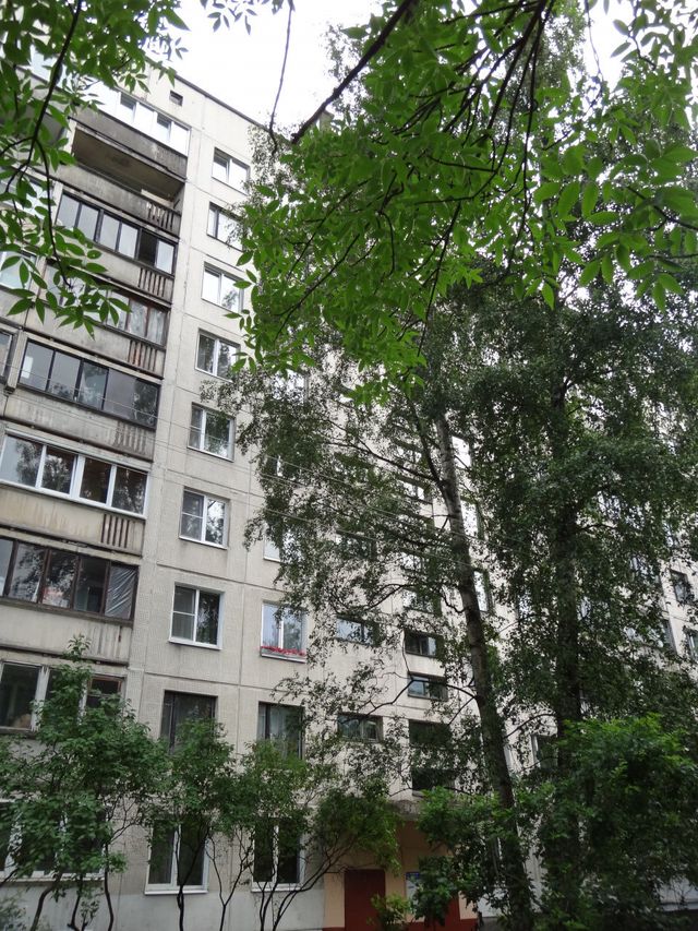 Панорама дома