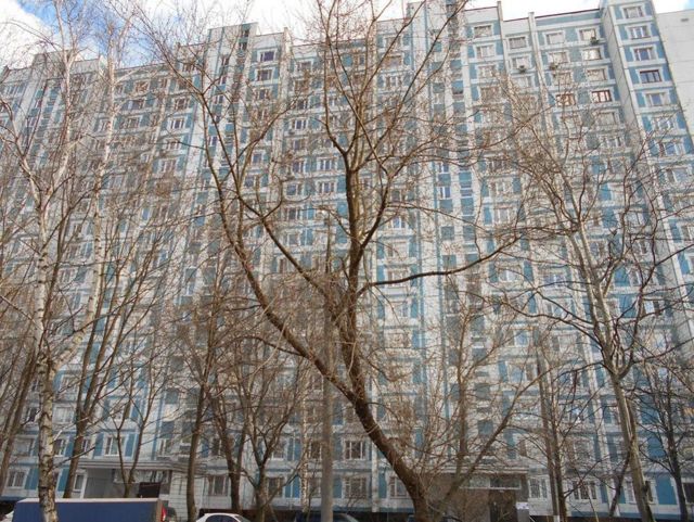 Панорама дома