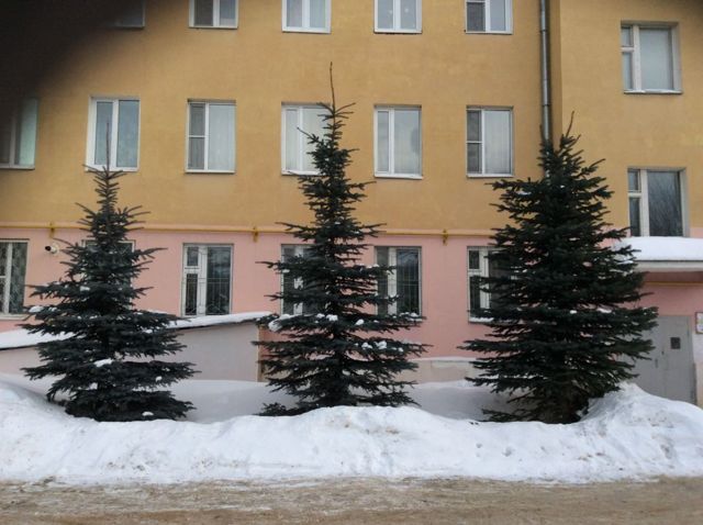 Панорама дома