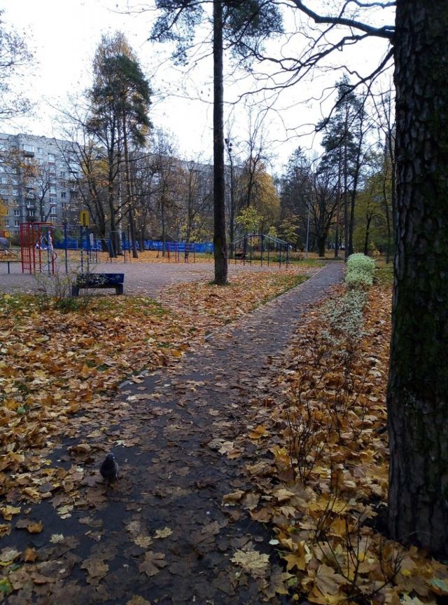 Territory